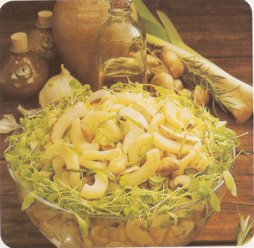 Salade de macaronis aux Champignons