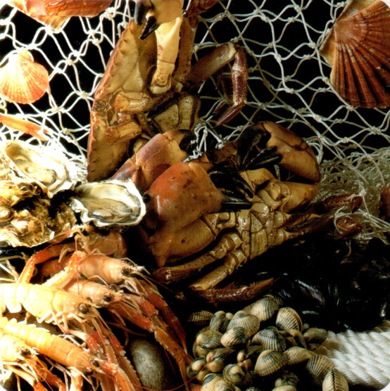 Choisir crustacés et coquillages