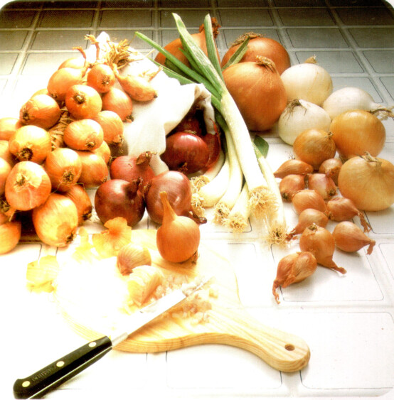 Les oignons