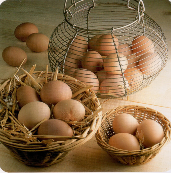 Les œufs